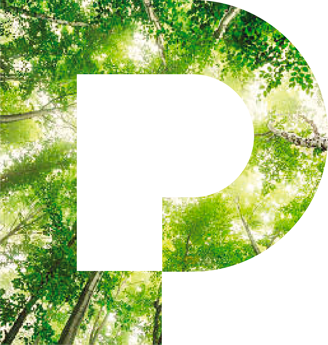 P-sostenibilita